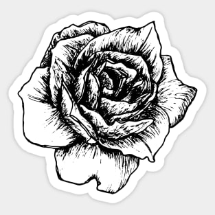 Black and white rose Sticker